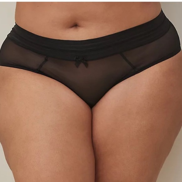 Torrid Sexy Mesh Hipster Panties! NWT! Size 1X - Picture 2 of 4